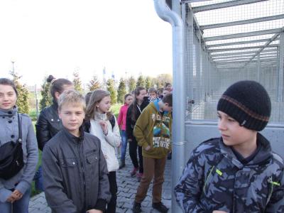 schronisko _lublin_05.jpg